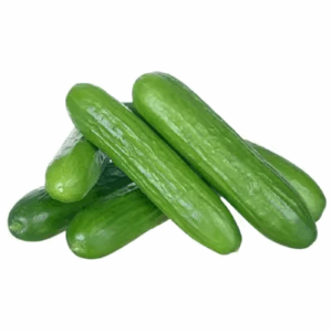 Cucumber